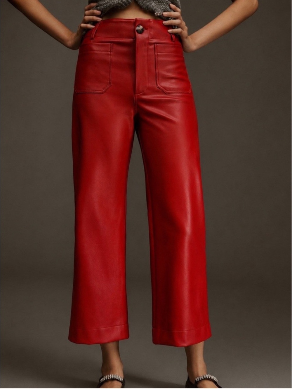 New Anthropologie The Colette Vegan Leather Wide-Leg Pants Red 25P Petites